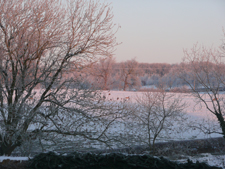 Snowy fields